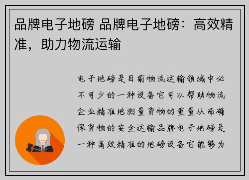 品牌电子地磅 品牌电子地磅：高效精准，助力物流运输